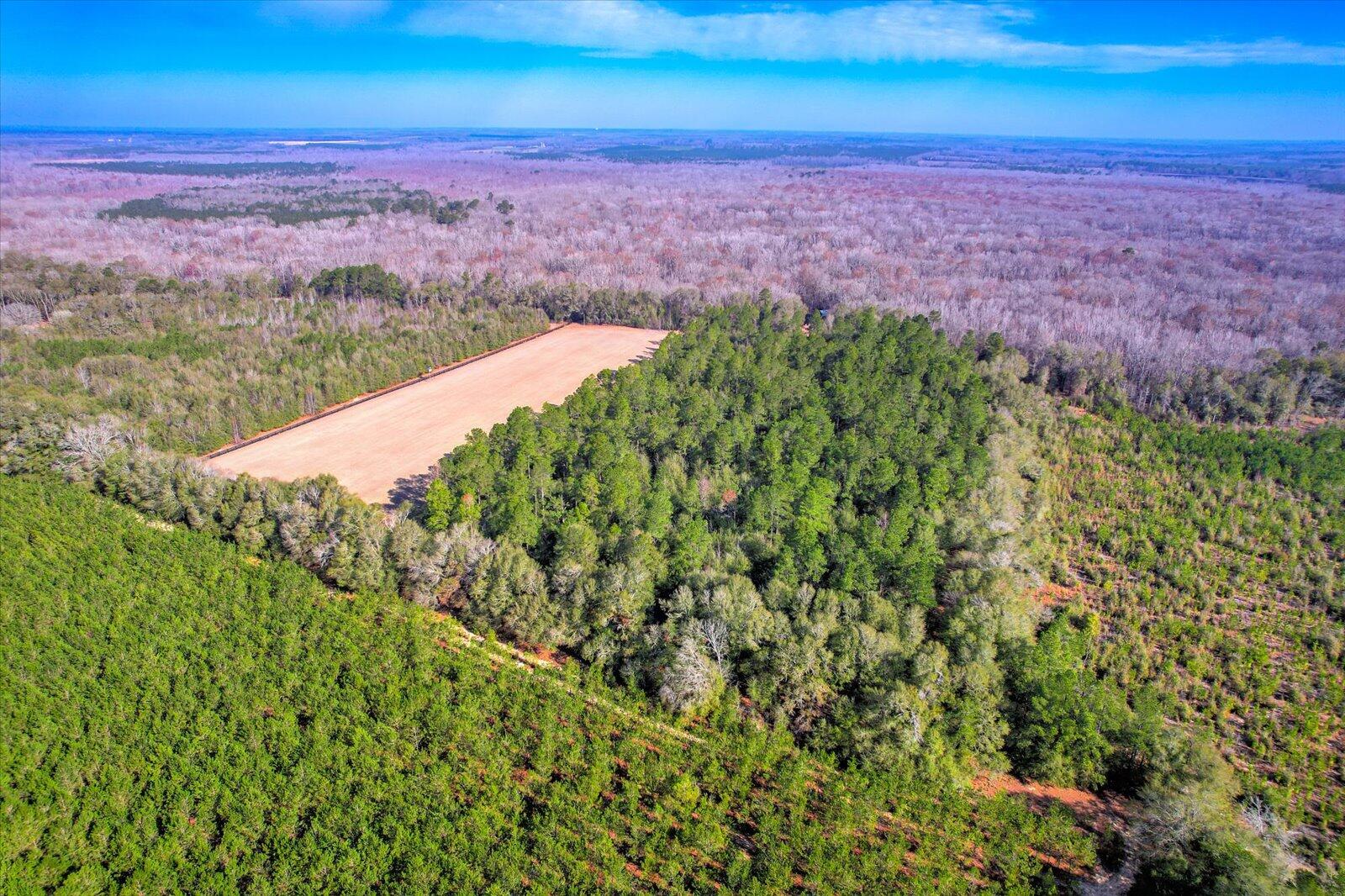 1114 Lott Bluff Road Blackville, SC 29817 - Photo 78 of 164