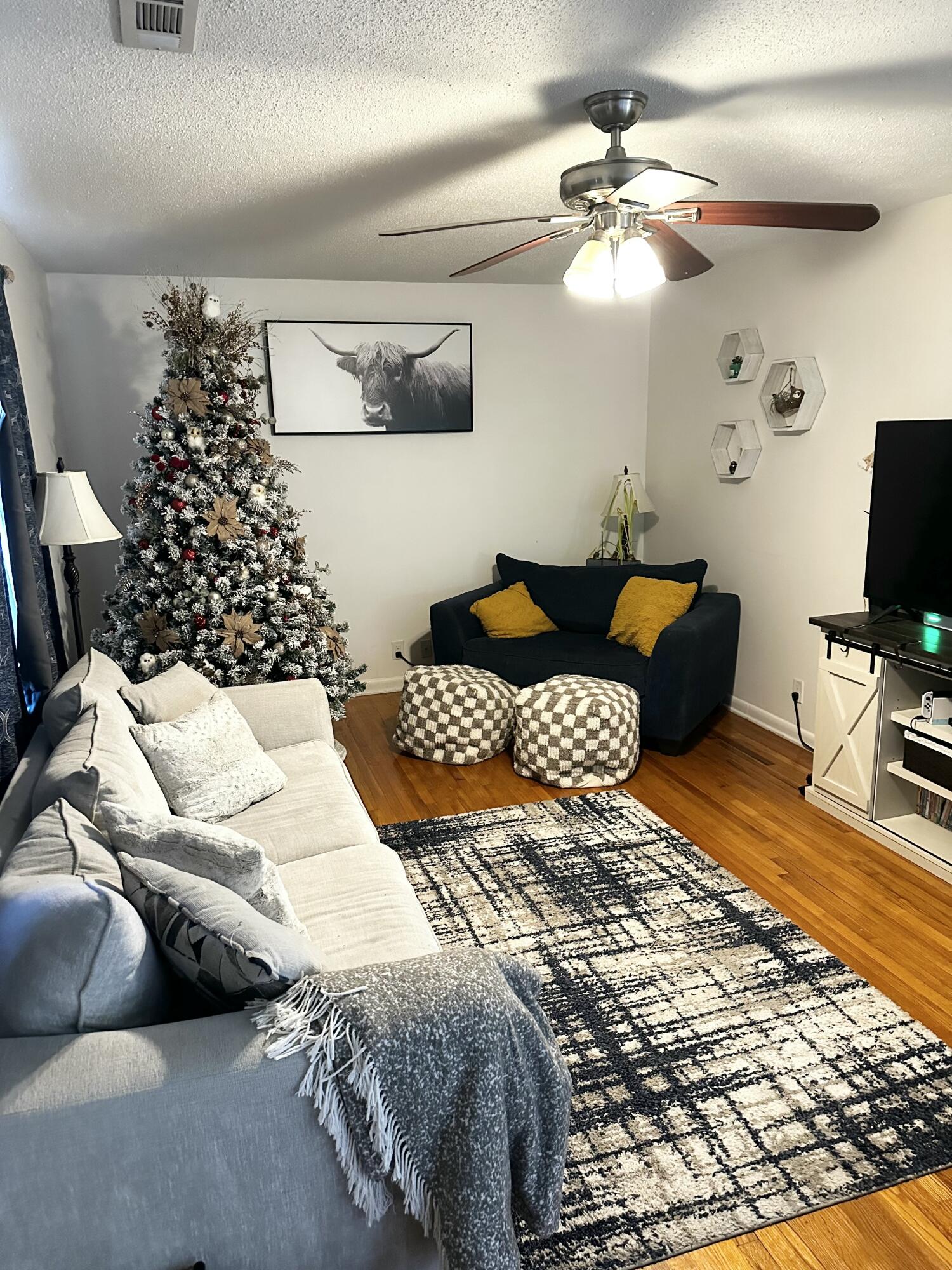 523 Cindy Circle Ringgold, GA 30736 - Photo 11 of 40 IMG_0814 2