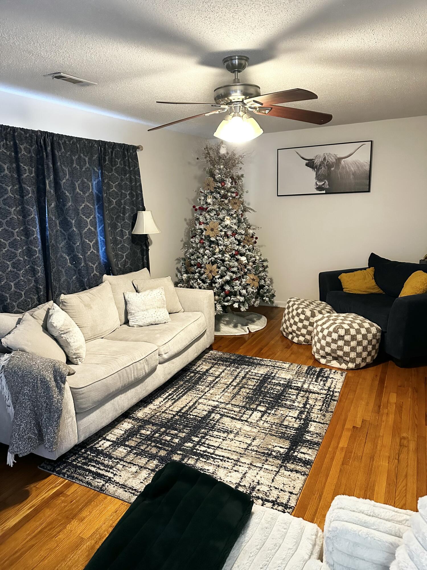 523 Cindy Circle Ringgold, GA 30736 - Photo 14 of 40 IMG_0817 2