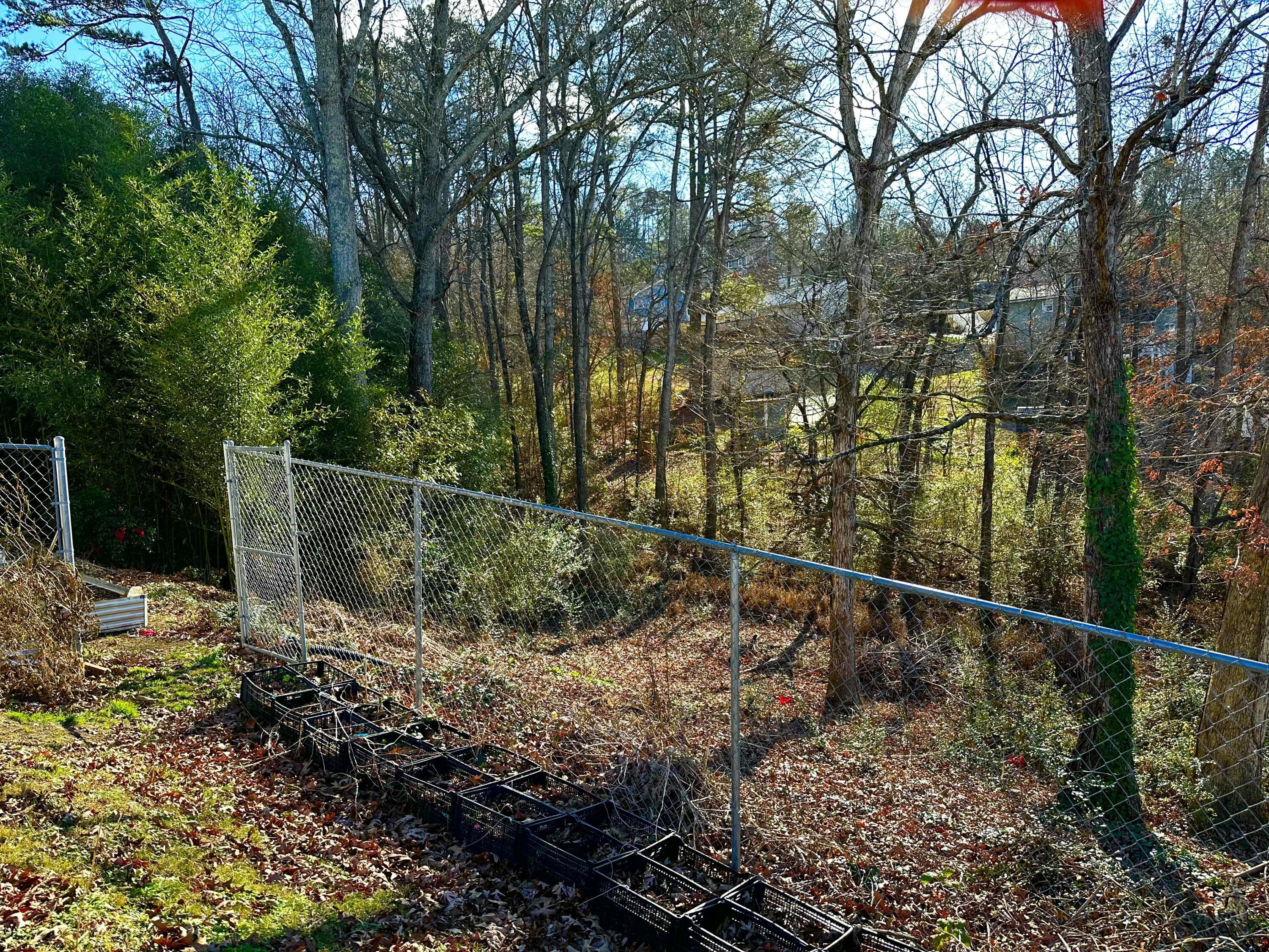 523 Cindy Circle Ringgold, GA 30736 - Photo 7 of 40 IMG_0849 2