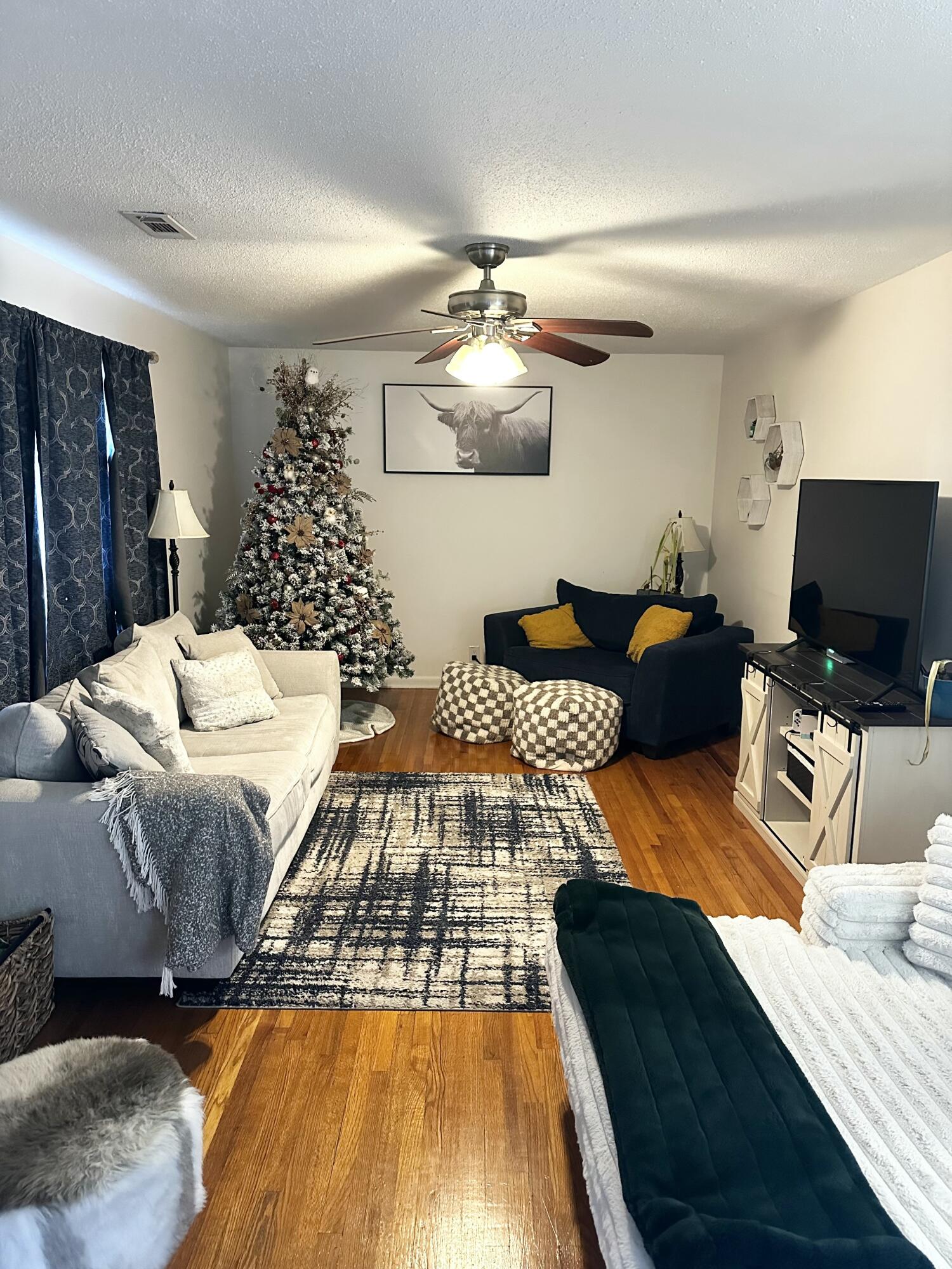 523 Cindy Circle Ringgold, GA 30736 - Photo 10 of 40 IMG_0813 2