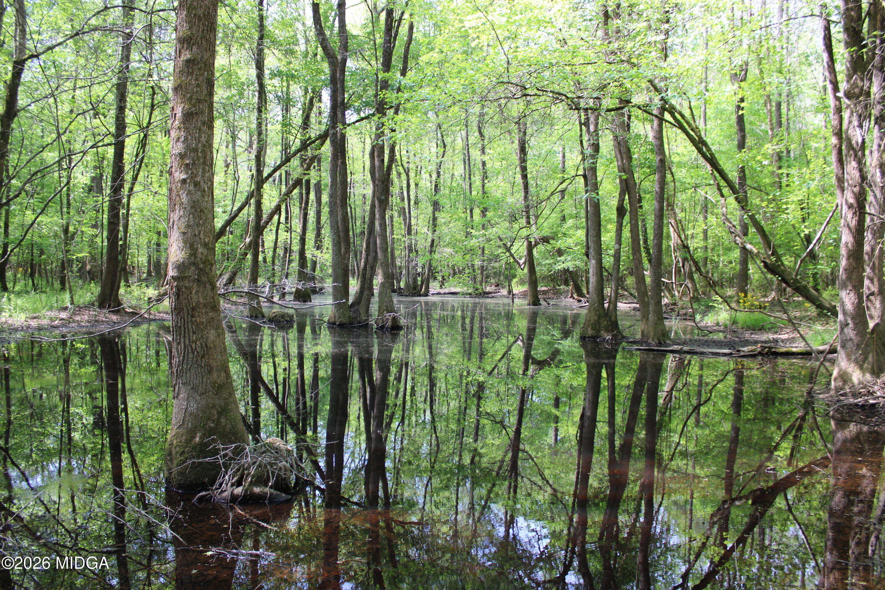 0 Ruffner Road The Rock, GA 30285 - Photo 16 of 46 a view of lake