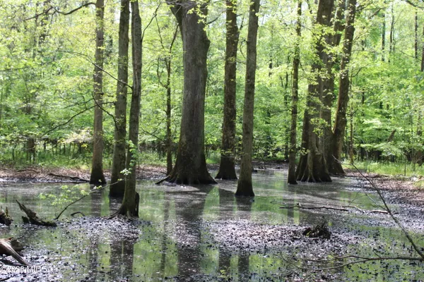 a backyard of a house with lots of green space and garden