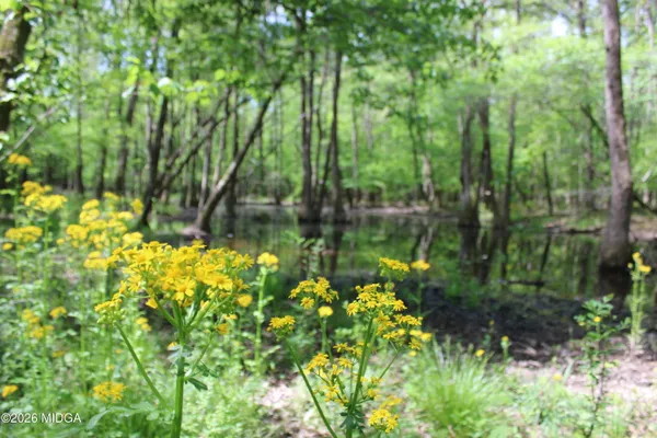 a view of field with trees in the background