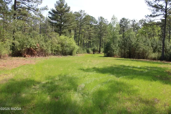 a view of a yard with a tree