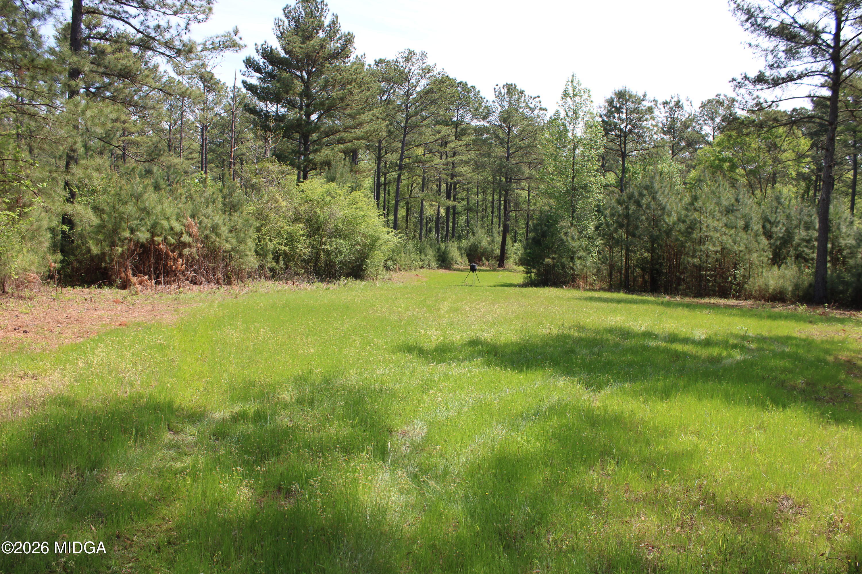 0 Ruffner Road The Rock, GA 30285 - Photo 19 of 46 a view of field with trees in the background