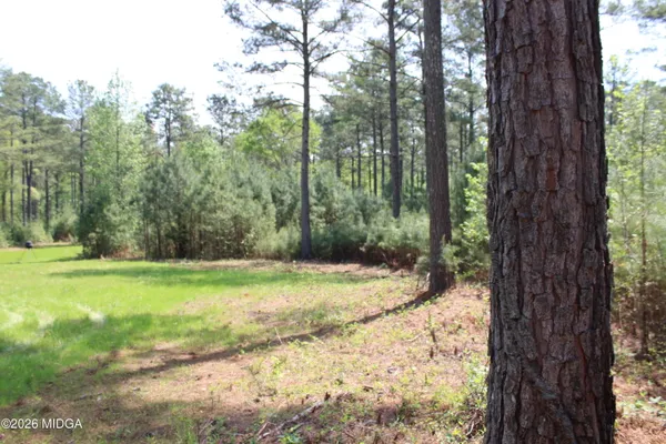 a view of a yard with a tree