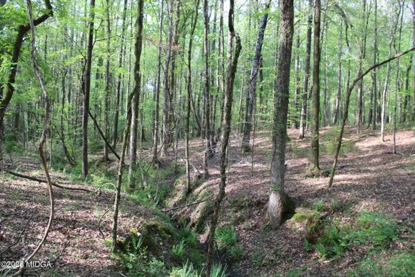 a view of outdoor space and garden