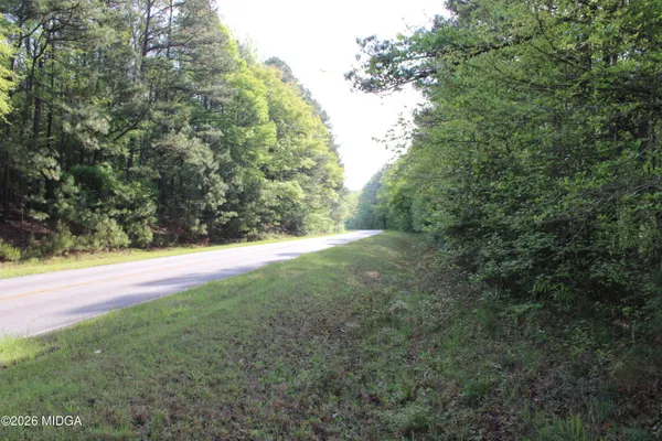 a view of a forest with trees
