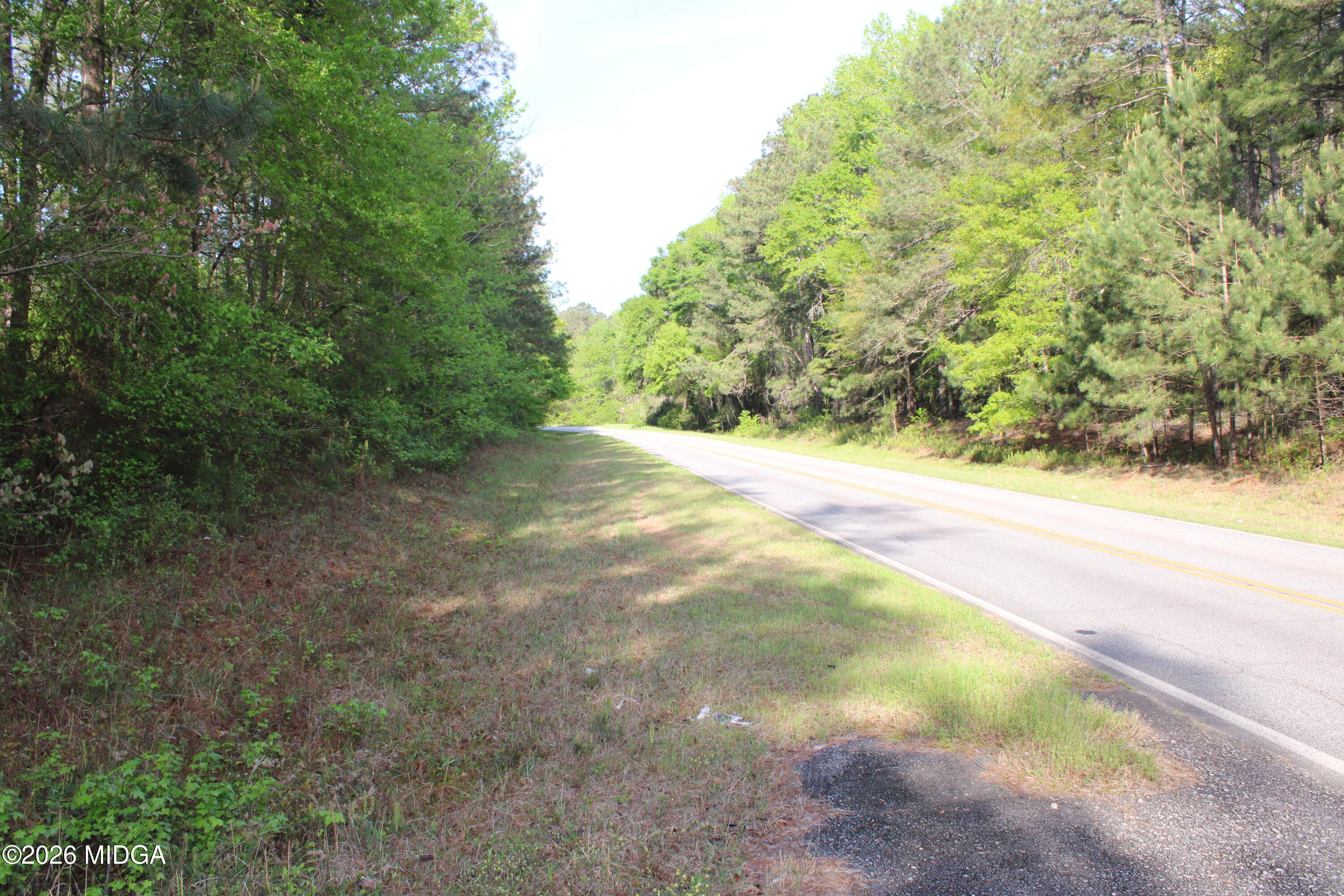0 Ruffner Road The Rock, GA 30285 - Photo 24 of 46 a view of a yard with a trees