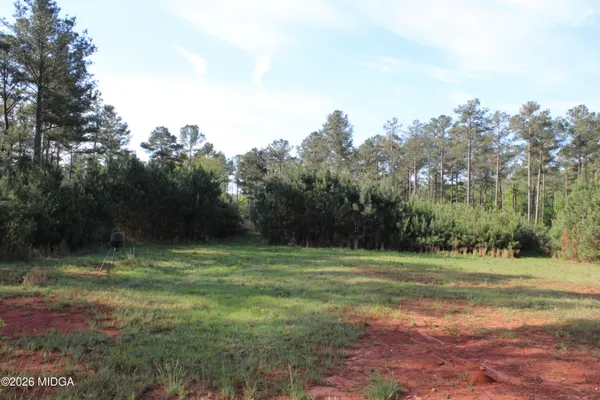 a view of outdoor space and green space