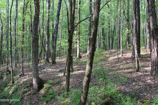 a view of lake with green space