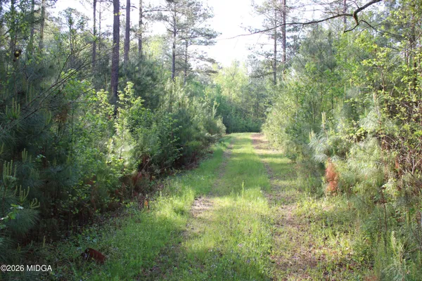 a backyard of a house with lots of trees
