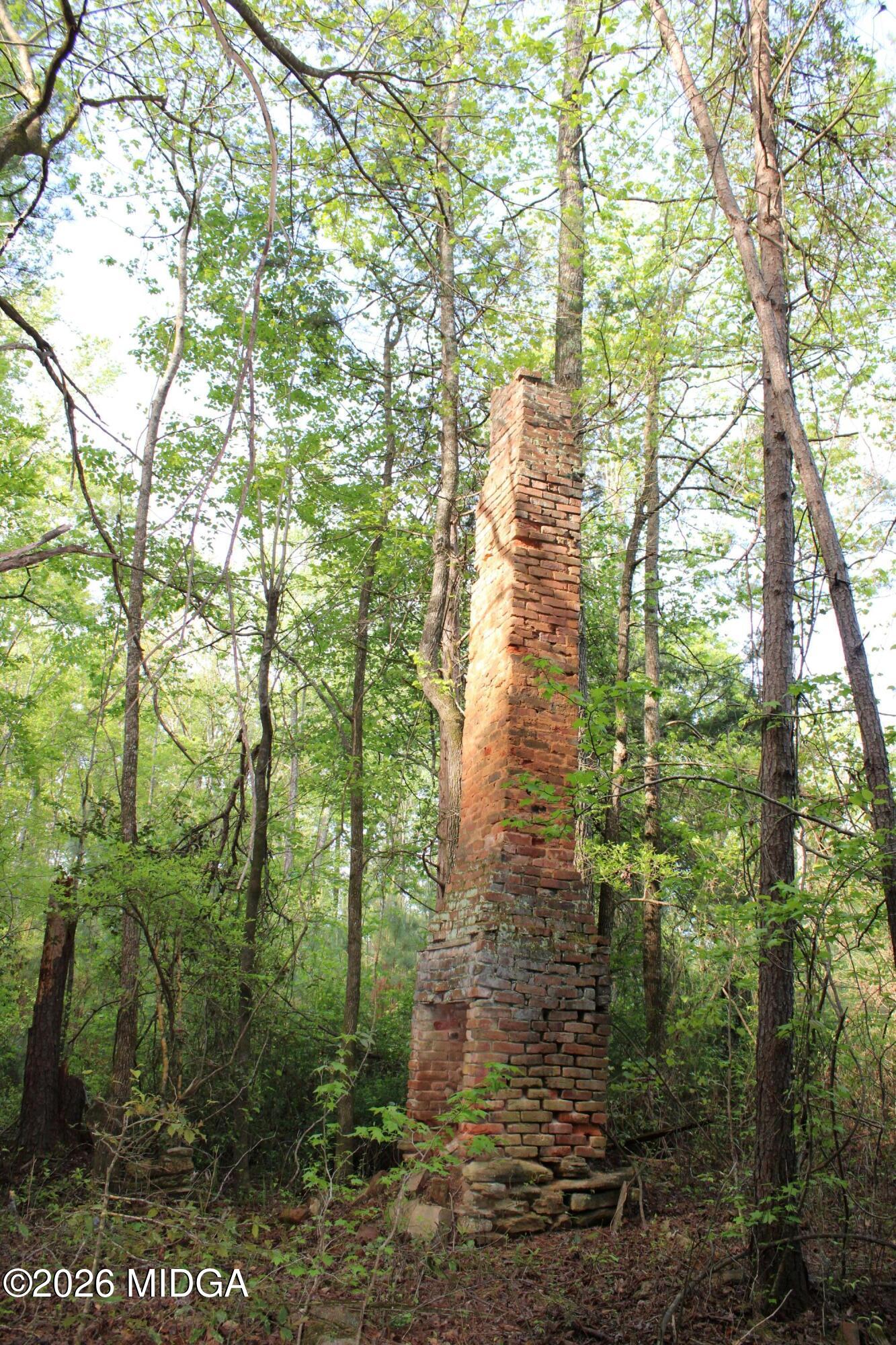 0 Ruffner Road The Rock, GA 30285 - Photo 31 of 46 a backyard of a house with lots of trees