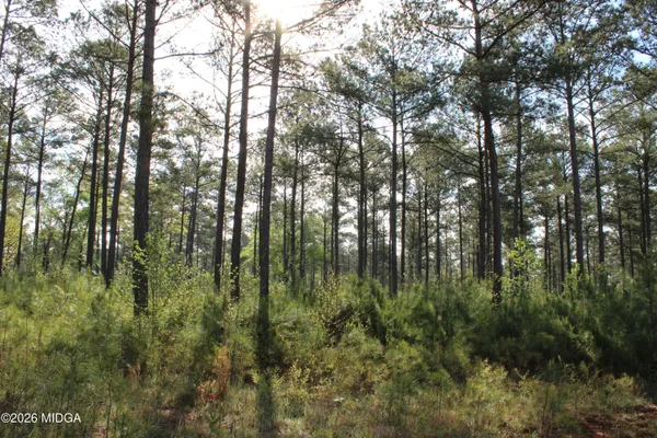 a view of outdoor space and garden
