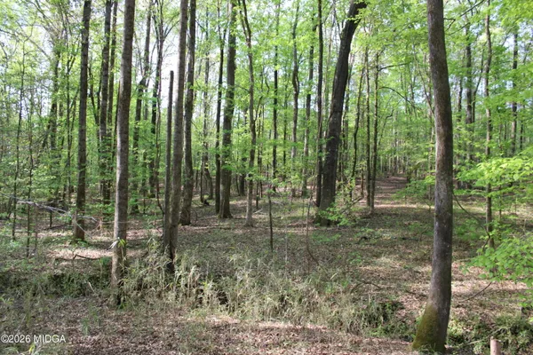 a view of outdoor space and trees