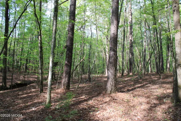 a view of outdoor space and garden