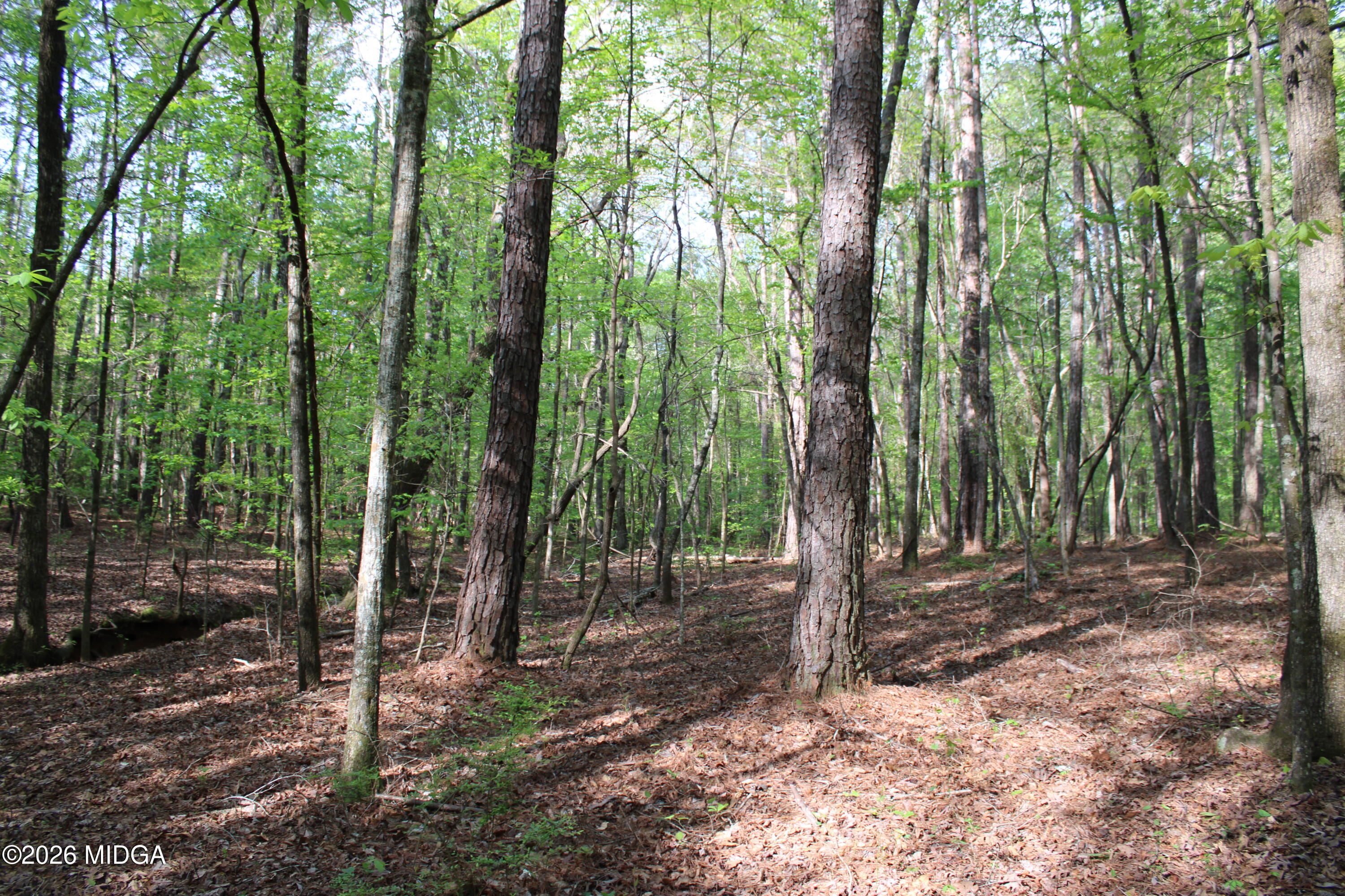 0 Ruffner Road The Rock, GA 30285 - Photo 37 of 46 a view of outdoor space and trees
