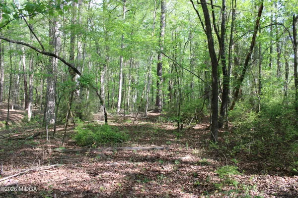 a view of a lake from a yard
