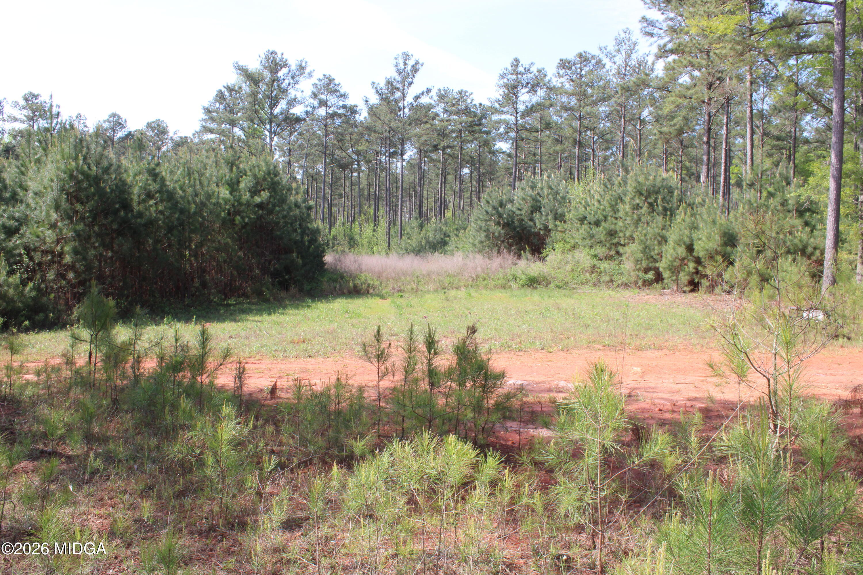 0 Ruffner Road The Rock, GA 30285 - Photo 40 of 46 a view of a lake from a yard