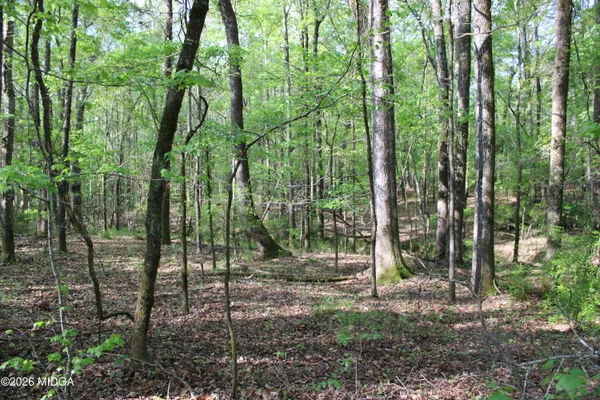 a view of outdoor space and garden