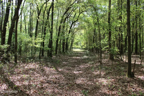 a view of outdoor space and trees