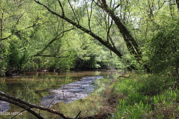 a view of a lake with a large trees