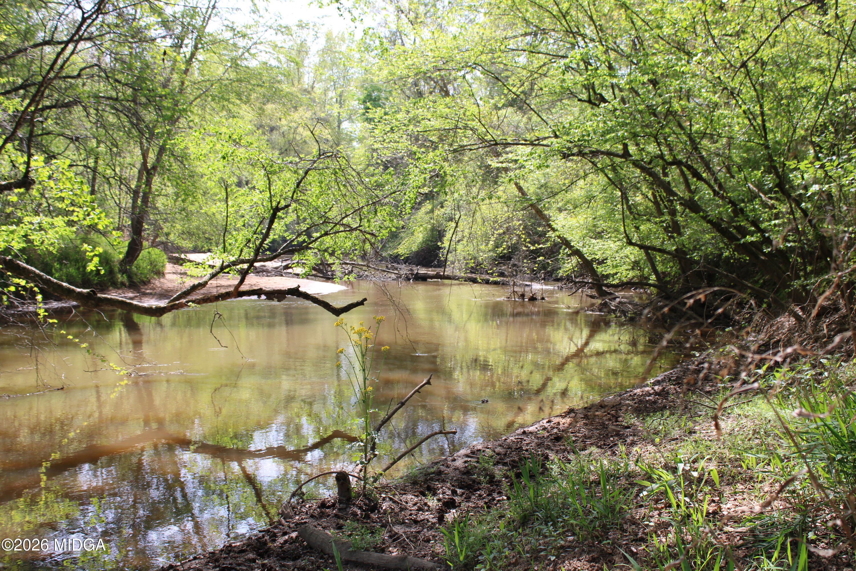 0 Ruffner Road The Rock, GA 30285 - Photo 8 of 46 a view of lake