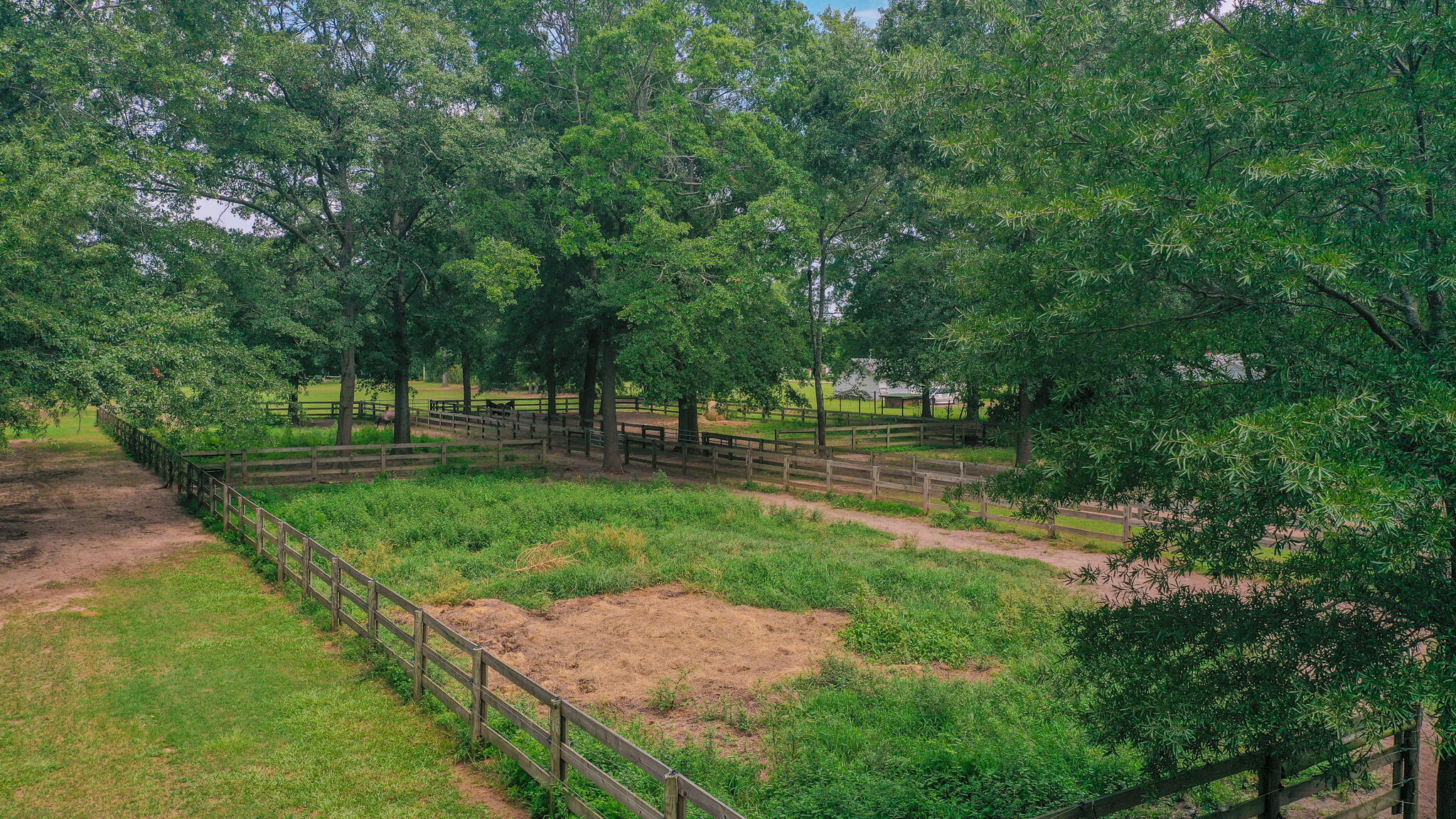 1002 West Main Street Ridge Spring, SC 29129 - Photo 15 of 24
