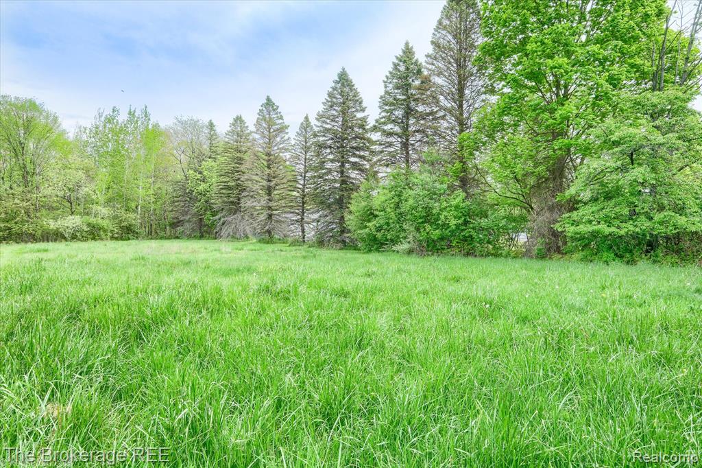 5042 Cook Road Swartz Creek, MI 48473 - Photo 8 of 48 Gallery Image 8