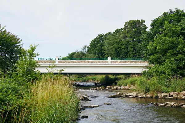 $775,000 | 8180 Main Street, Unit 203, Dexter, MI 48130