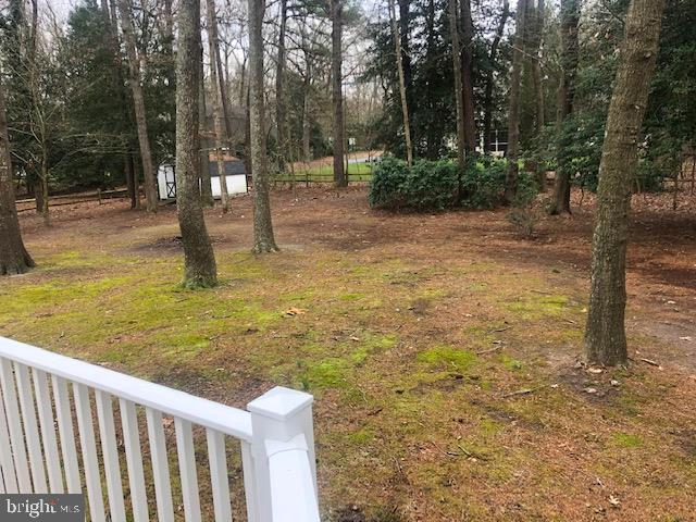 29733 Jackson Road Salisbury, MD 21804 - Photo 54 of 58 Gallery Image 54