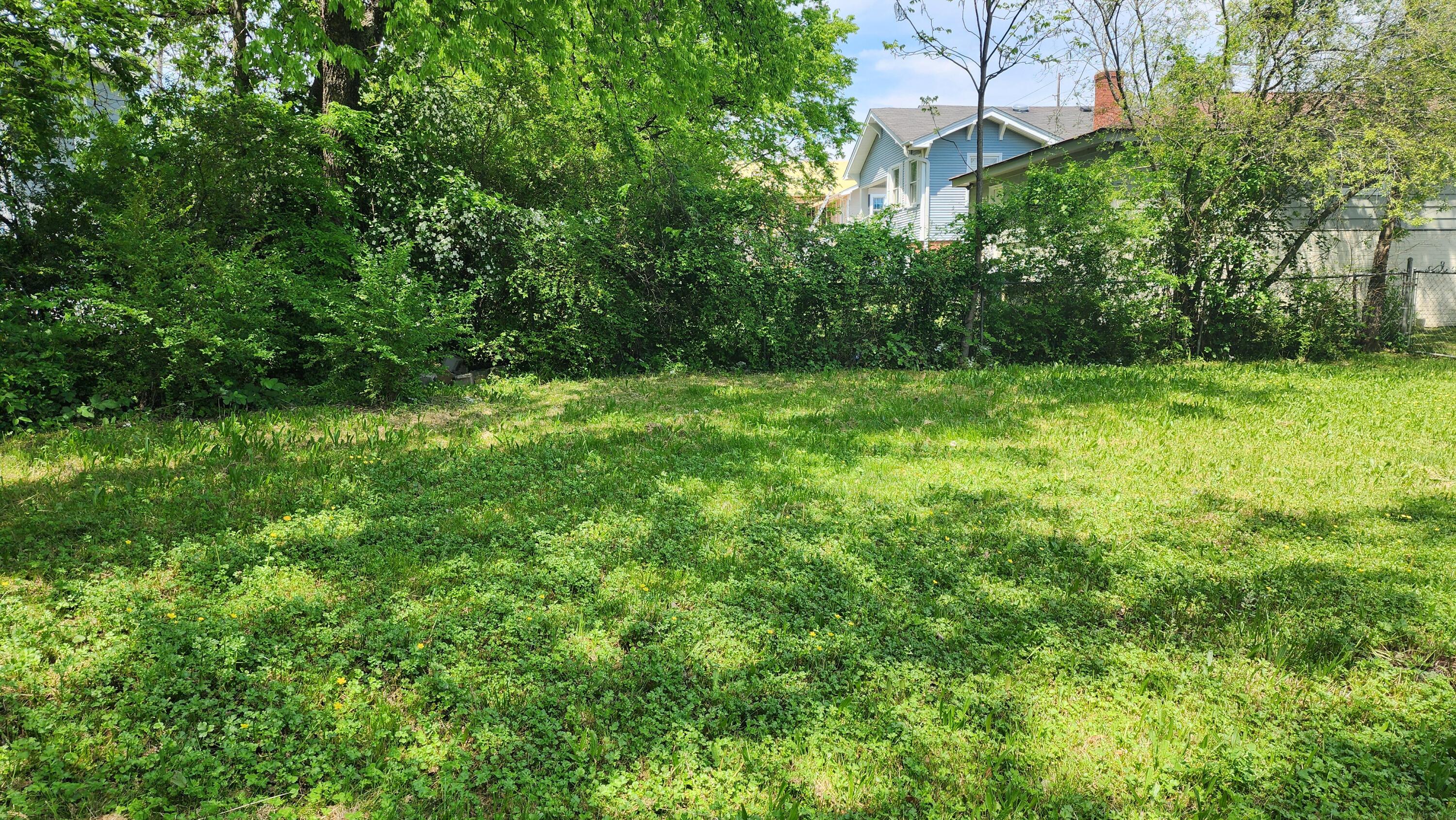 1806 Bennett Avenue Chattanooga, TN 37404 - Photo 9 of 27 Back yard