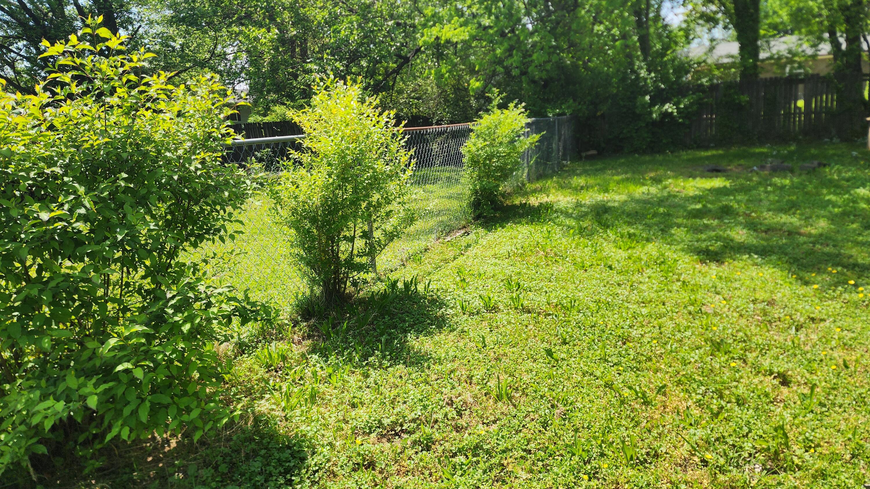 1806 Bennett Avenue Chattanooga, TN 37404 - Photo 10 of 27 Back yard