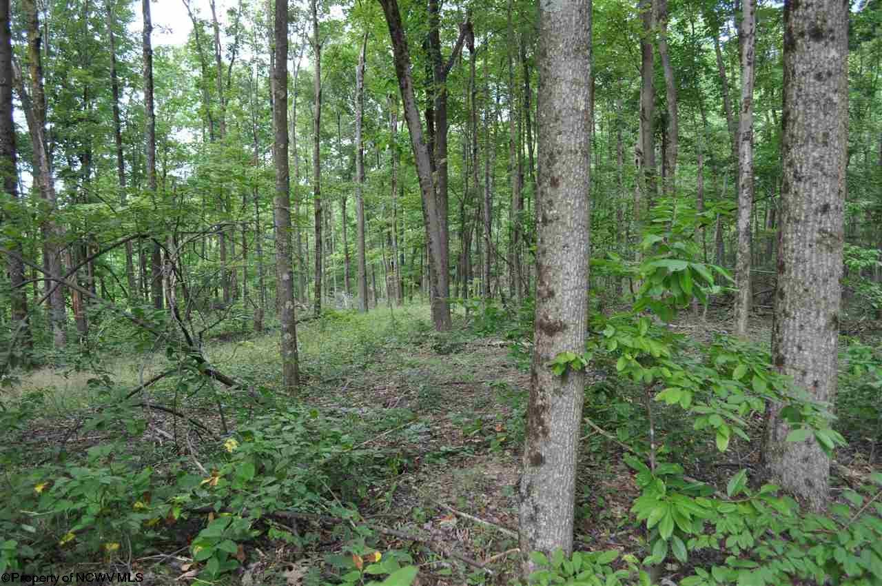 575 Fairview Road Independence, WV 26374 - Photo 9 of 20 Gallery Image 9
