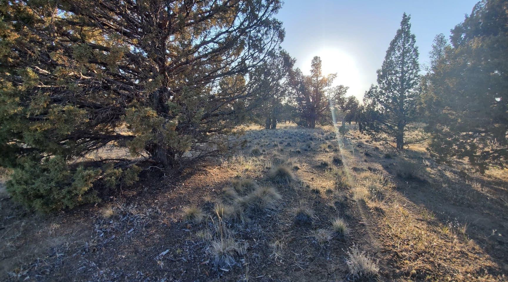 Southeast Huron Road Prineville, OR 97754 - Photo 14 of 25 13