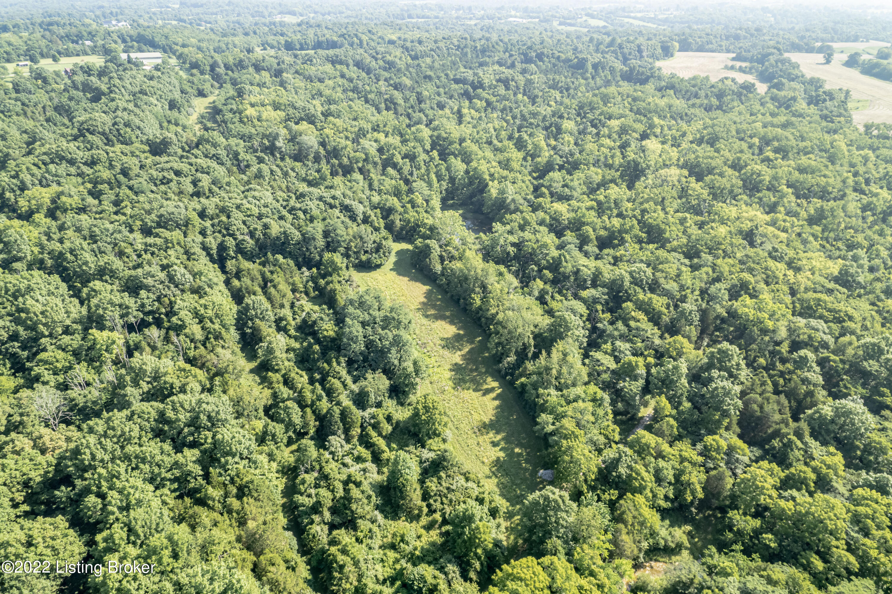 3696 Webb Road Simpsonville, KY 40067 - Photo 63 of 66 Aerial