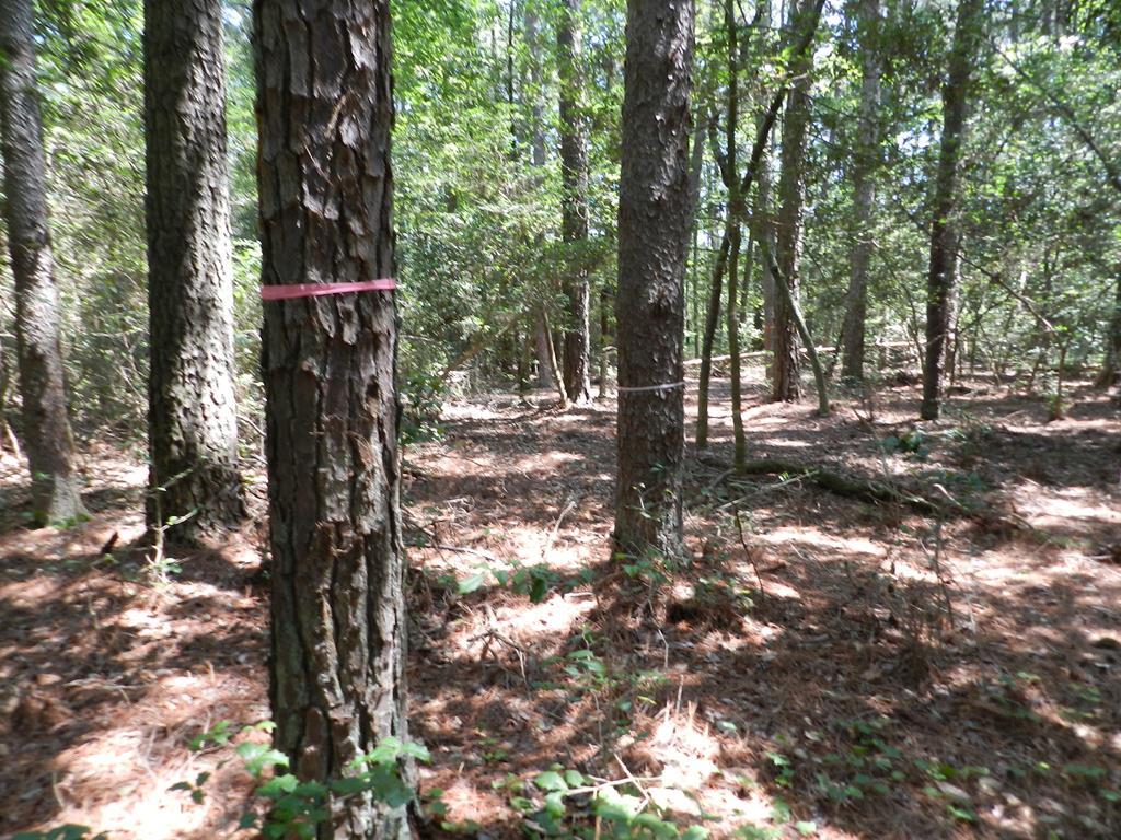 Lot B5 Saltworks Road, Unit B5 Exmore, VA 23350 - Photo 7 of 16