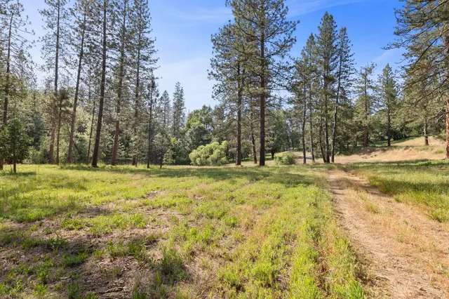 $599,000 | 499 McCarthy Reservoir Road, Unit 2, Rail Road Flat, CA 95248