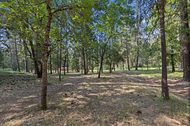 $599,000 | 499 McCarthy Reservoir Road, Unit 2, Rail Road Flat, CA 95248