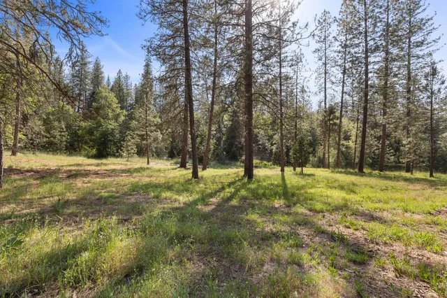 $599,000 | 499 McCarthy Reservoir Road, Unit 2, Rail Road Flat, CA 95248