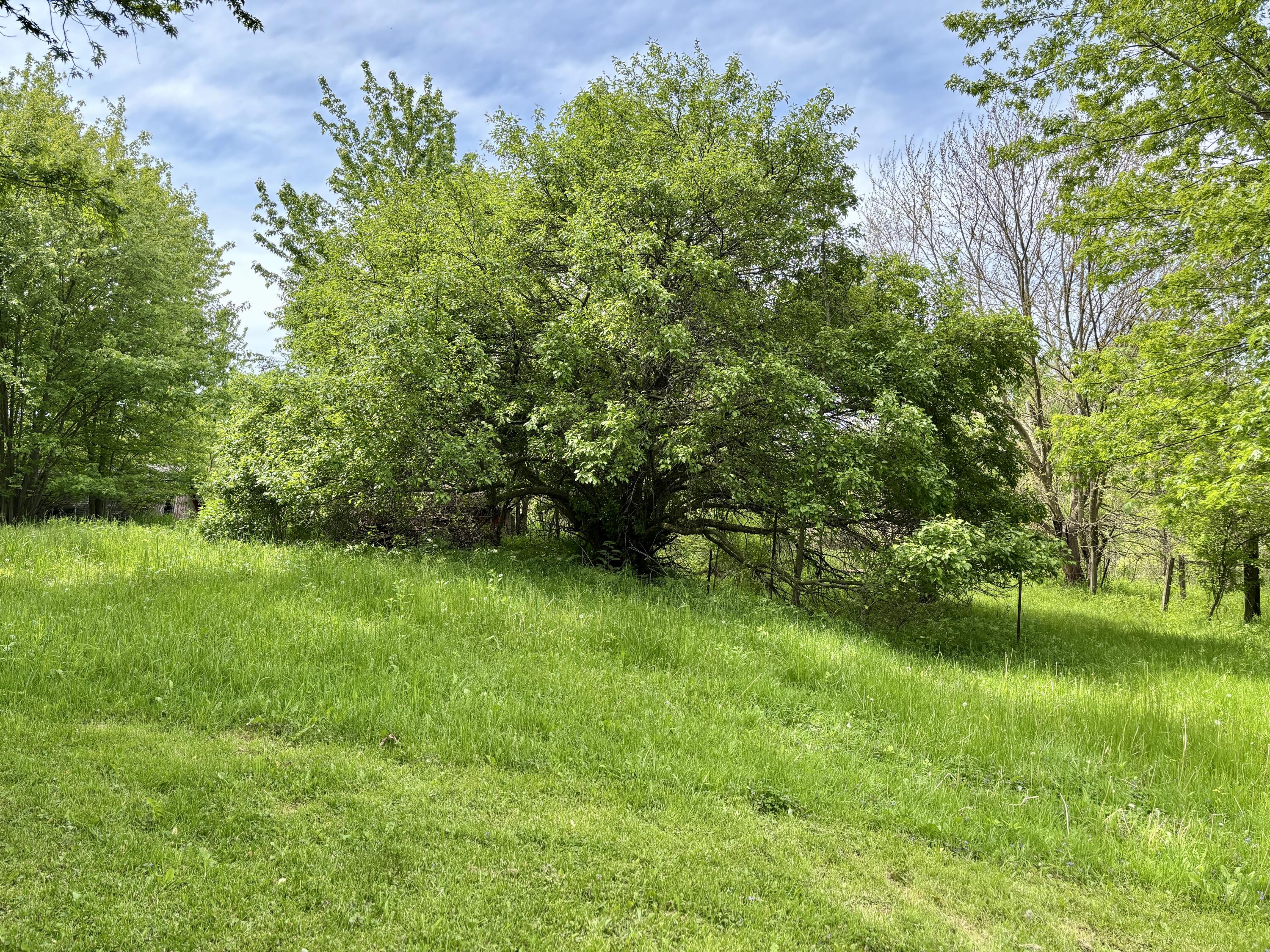 1652 Olive Branch Road Galien, MI 49113 - Photo 29 of 34 IMG_6265