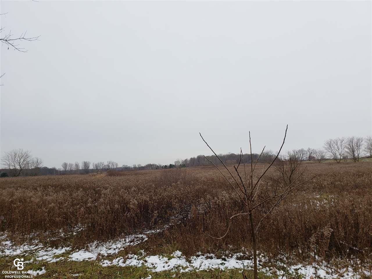 12201 Speaker Road Yale, MI 48097 - Photo 5 of 14 Gallery Image 5