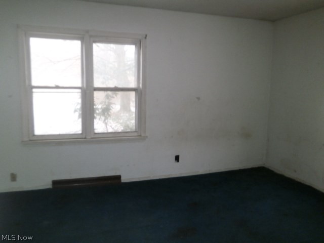 2605 Dock Road Madison, OH 44057 - Photo 16 of 22