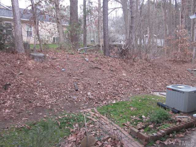 701 Charleston Road Raleigh, NC 27606 - Photo 6 of 25 Another view of the yard! Lots of natural area helps for creating privacy all around! Self managed HOA fees include landscape, water, garbage, sewer & recycle! Back Yard
