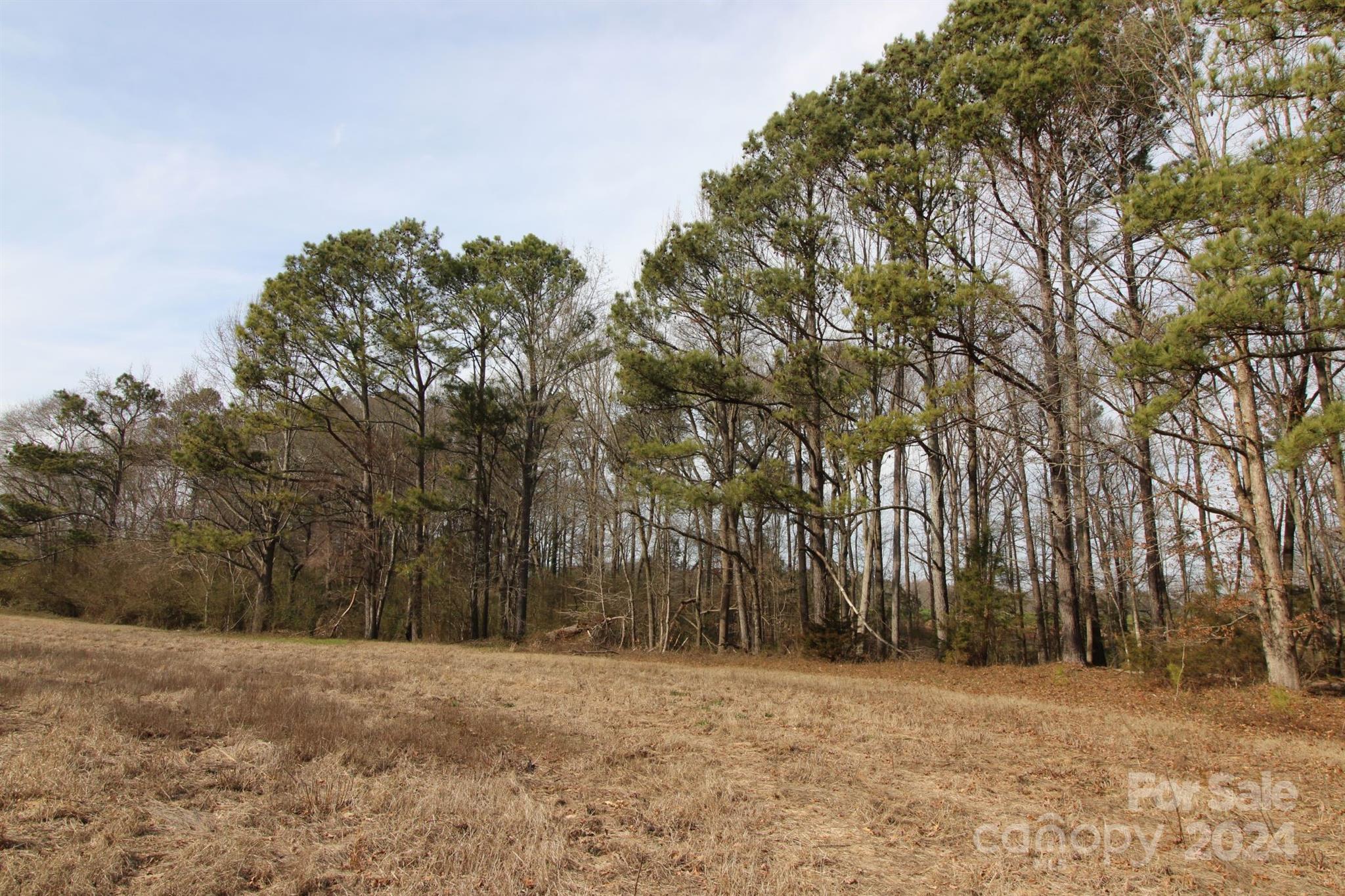 17-ac Quinn Road Chester, SC 29706 - Photo 1 of 10