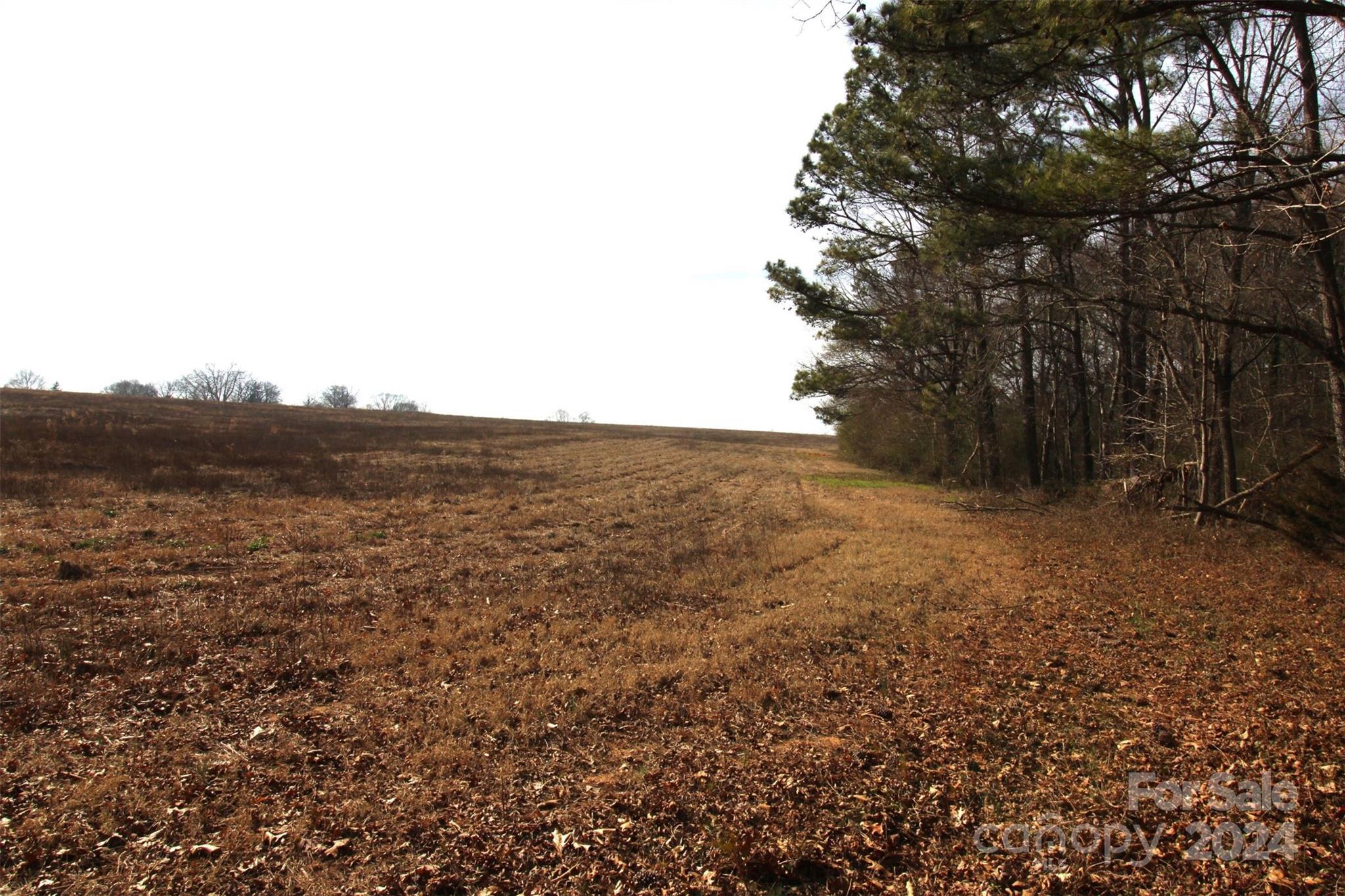 17-ac Quinn Road Chester, SC 29706 - Photo 2 of 10