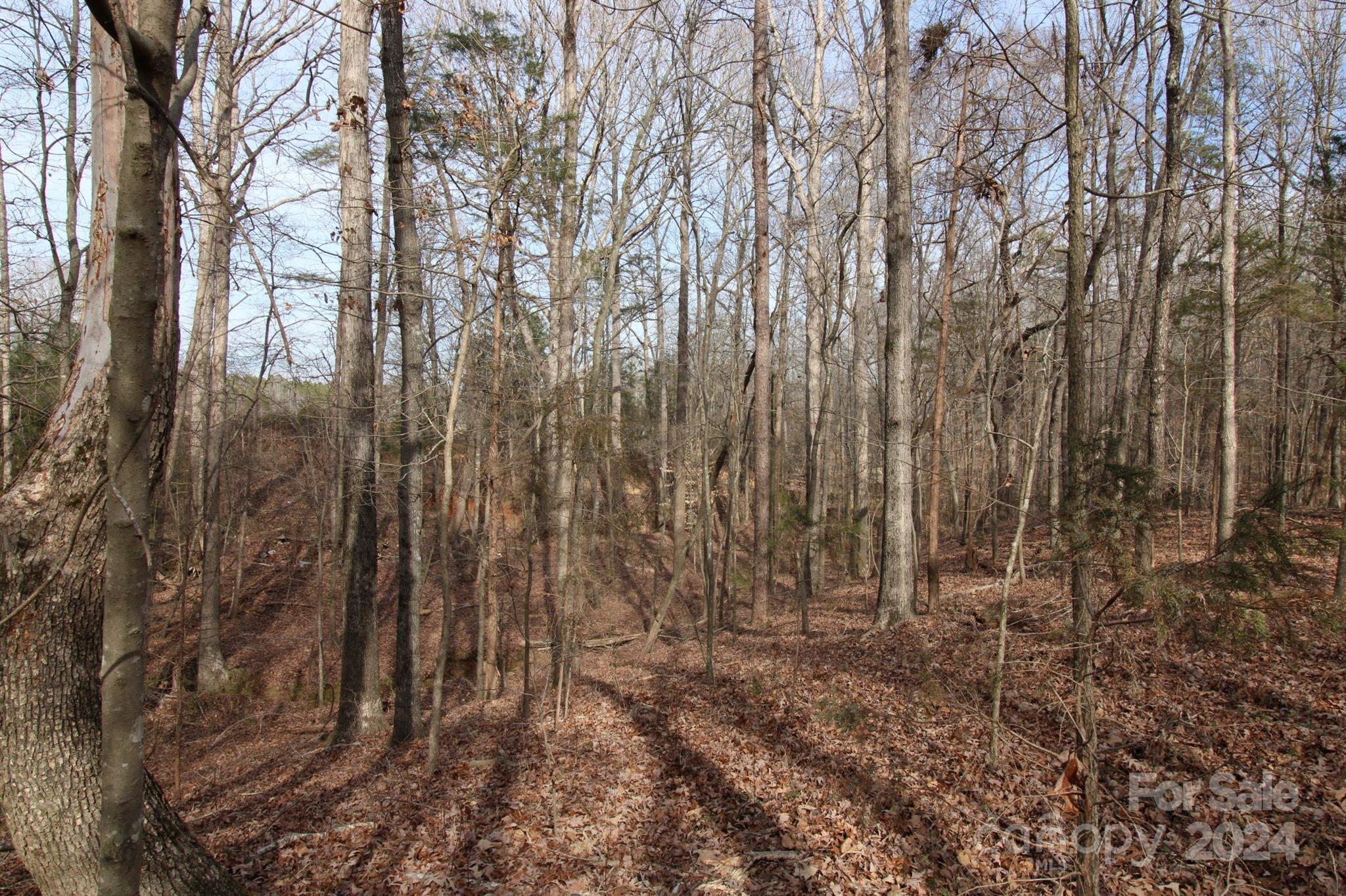 17-ac Quinn Road Chester, SC 29706 - Photo 3 of 10
