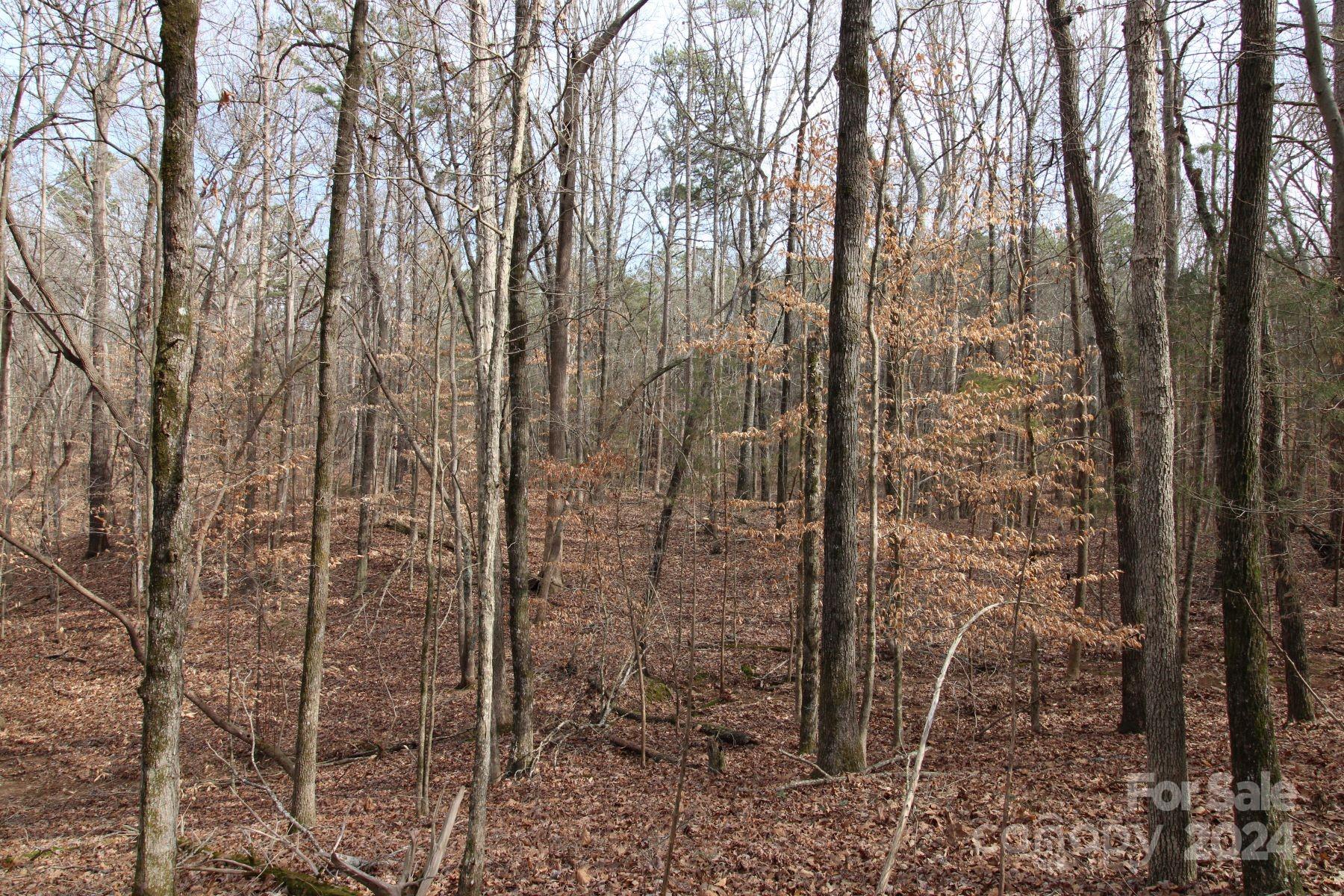17-ac Quinn Road Chester, SC 29706 - Photo 6 of 10