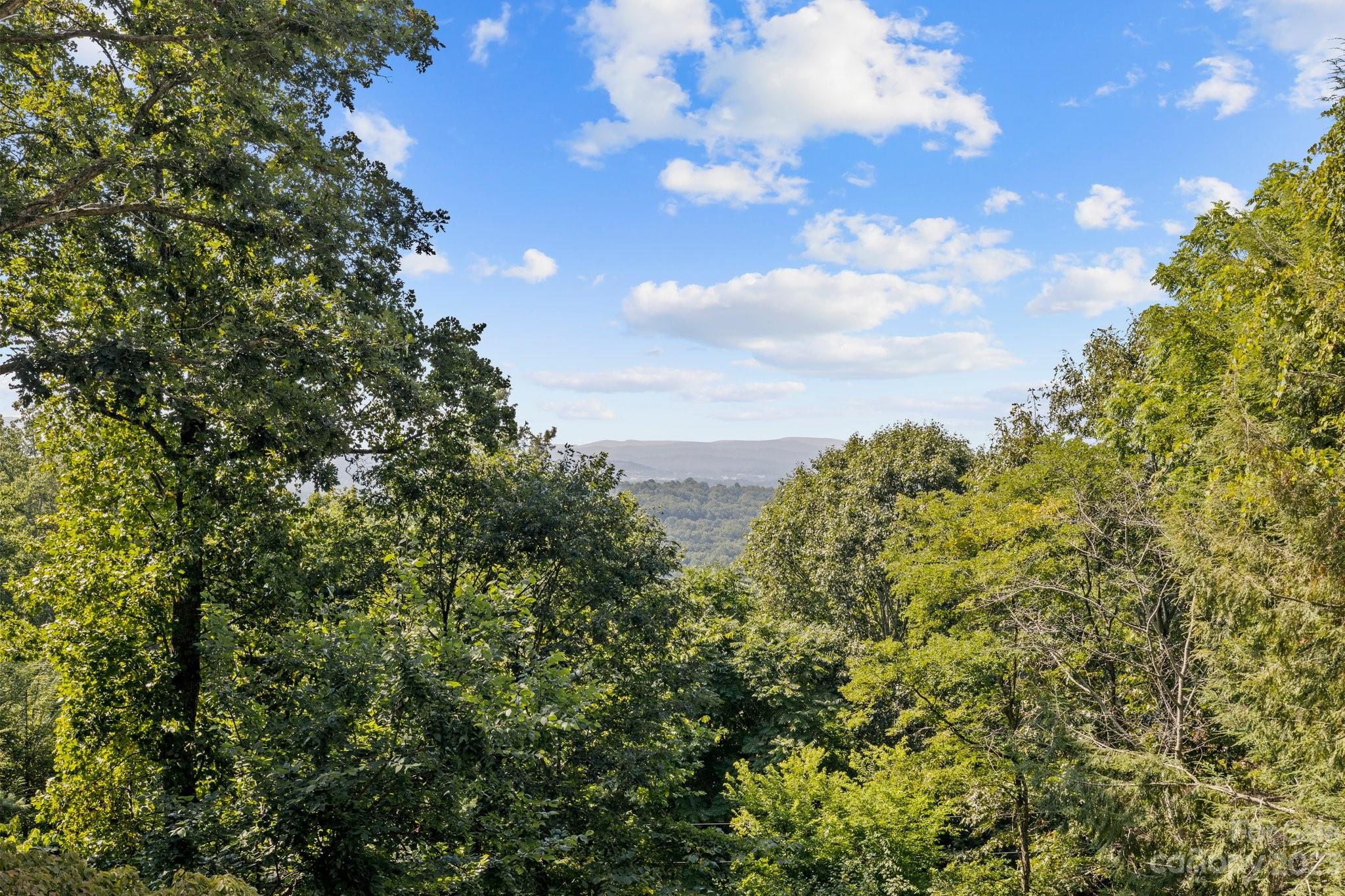 189 Laurel Road Arden, NC 28704 - Photo 30 of 43 Gallery Image 30